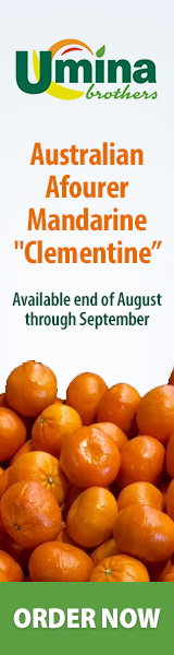 Australian Afourer Mandarine 'Clementine'