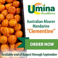 Australian Afourer Mandarine 'Clementine'