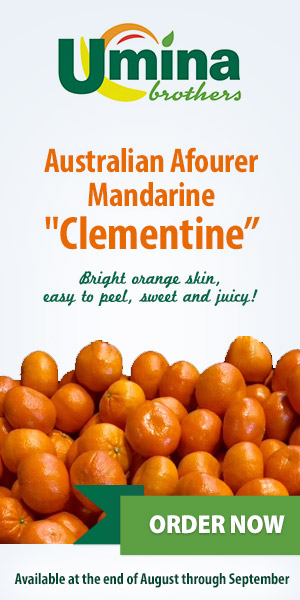 Australian Afourer Mandarine 'Clementine'