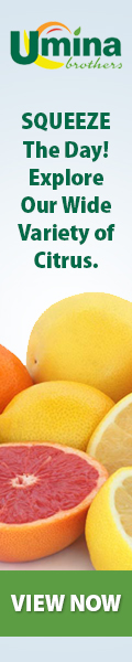 SQUEEZE The Day! Explore Our Wide Variety of Citrus.