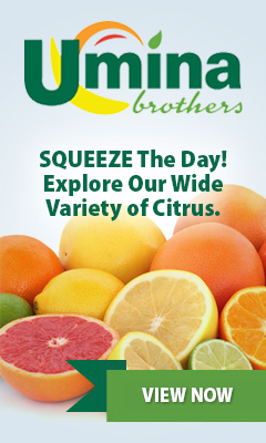 SQUEEZE The Day! Explore Our Wide Variety of Citrus.