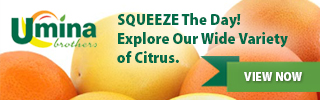 SQUEEZE The Day! Explore Our Wide Variety of Citrus.