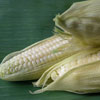 White Corn