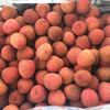 Australian Lychee