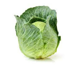 Green Cabbage