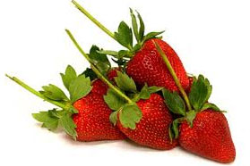 Long Stem Strawberries 