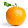 Navel Oranges