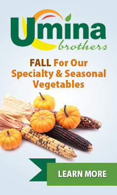 FALL For Our Specialty & Seasonal Vegetables