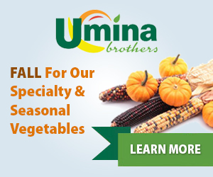 FALL For Our Specialty & Seasonal Vegetables