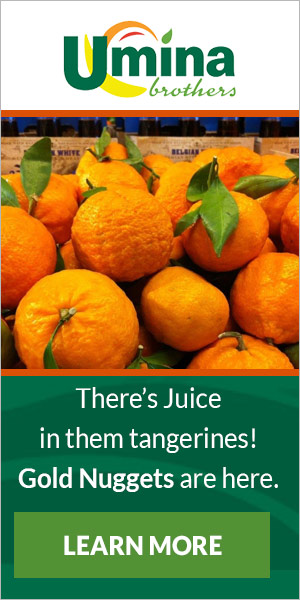 Gold Nugget Tangerines