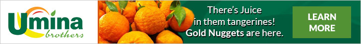 Gold Nugget Tangerines