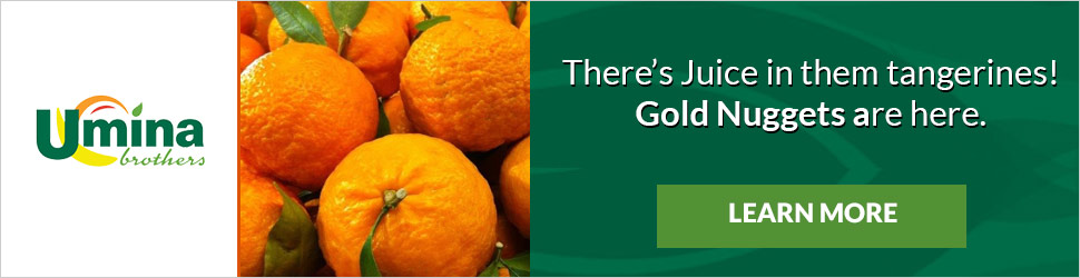 Gold Nugget Tangerines