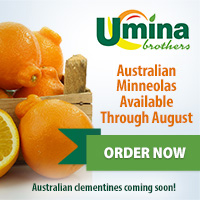 Austrailian Minneolas Available Through August