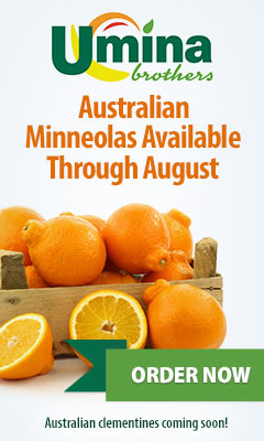 Austrailian Minneolas Available Through August