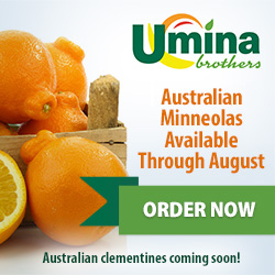 Austrailian Minneolas Available Through August