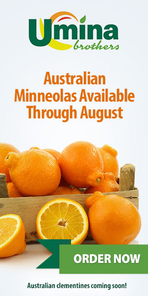 Austrailian Minneolas Available Through August