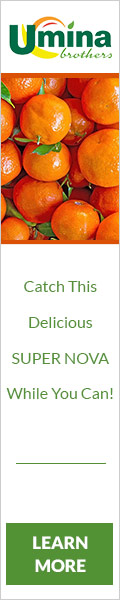 Catch This Delicious SUPER NOVA While You Can!