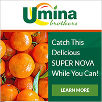 Catch This Delicious SUPER NOVA While You Can!