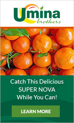 Catch This Delicious SUPER NOVA While You Can!