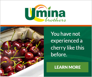 You have not experienced a cherry like this before.