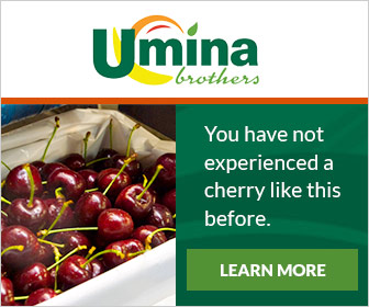 You have not experienced a cherry like this before.