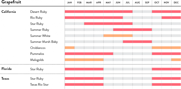 Grapefruit Seasonal Calendar - Umina Brothers
