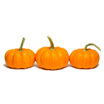 Mini Pumpkins