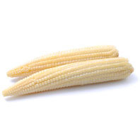 White Corn