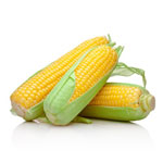 Yellow Corn