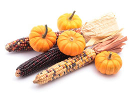 Pumpkins & Corn