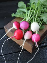 Easter Egg Radish