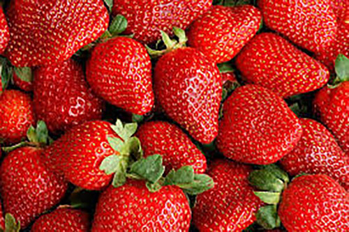 Strawberries