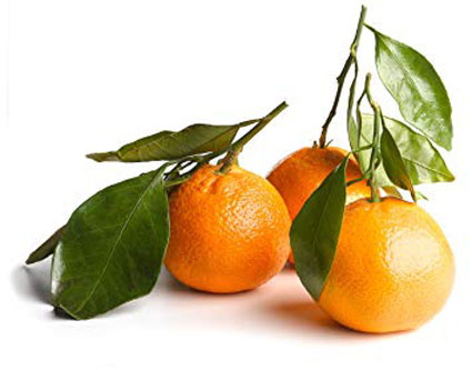 Stem and Leaf Satsumas