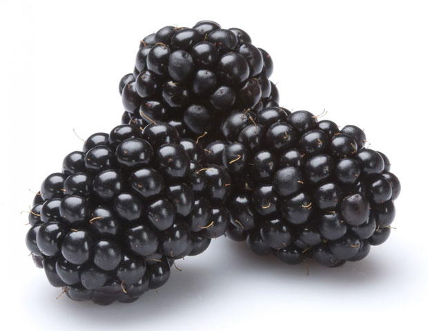 Blackberries